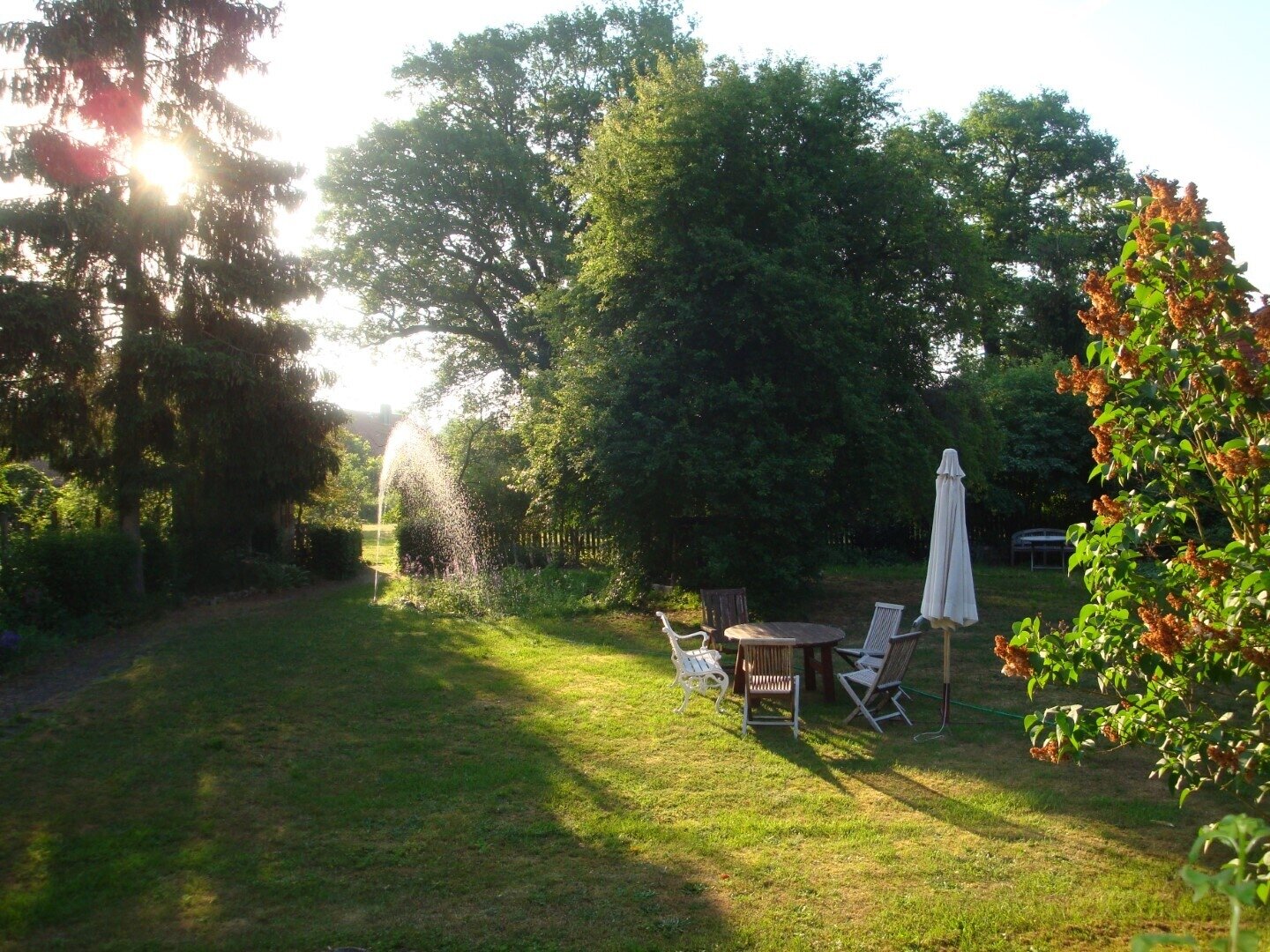 Garten Abendstimmung